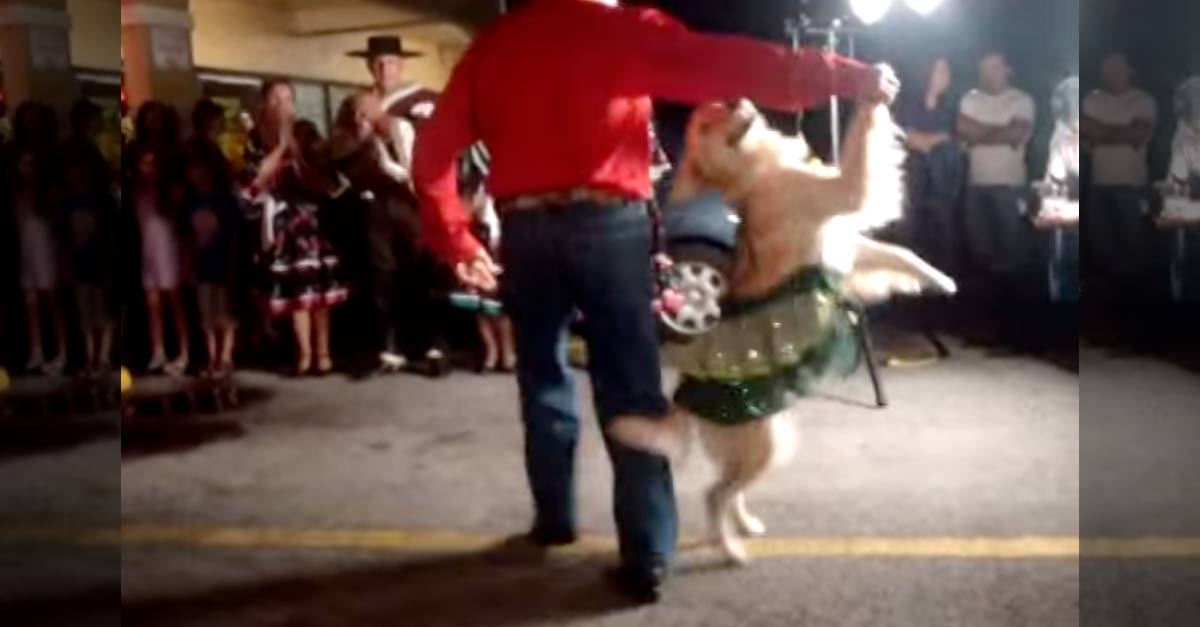 Dog Dances Merengue