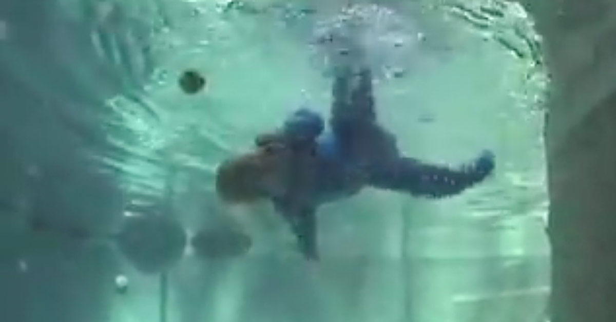 Infant Swimming Self-Rescue